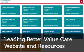Leading Better Value Care Website