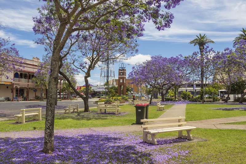 market square grafton