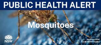 Protect yourself from mosquito-borne disease