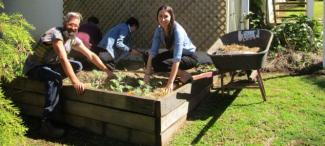 Youth garden project grows veggies and self-esteem