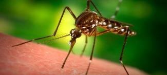 PROTECT YOURSELF DURING MOSQUITO SEASON