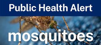Public Health Alert - Mosquitoes banner with picture of a mosquito